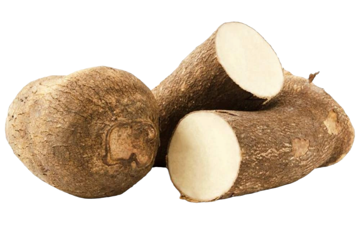 WHITE YAM