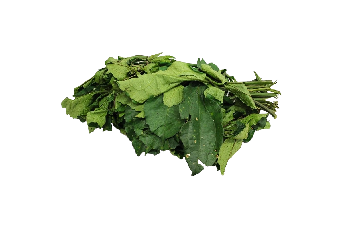 FRESH UGU LEAVES(FLUTED PUMPKIN LEAVES)