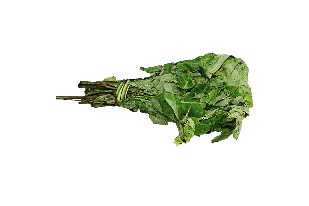 FRESH OHA LEAVES (AFRICAN ROSEWOOD)