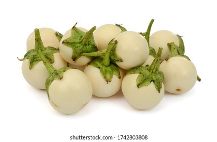 GARDEN EGGS